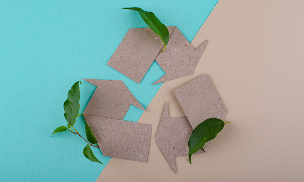 how can schools be more sustainable