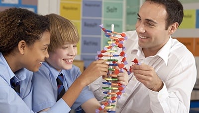 Classroom DNA Model Teacher