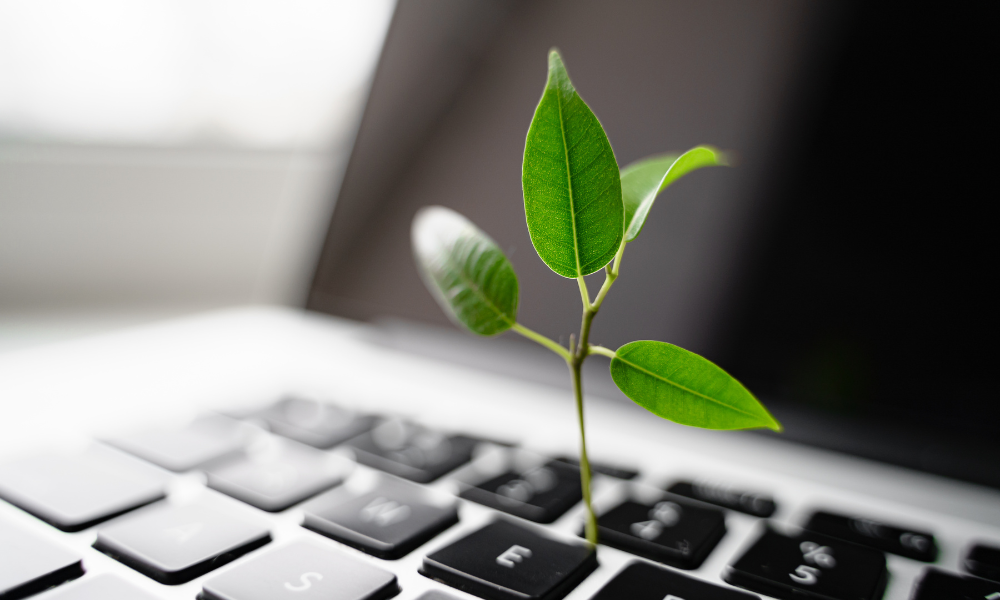 Green schools and ICT: how tech can support sustainable education