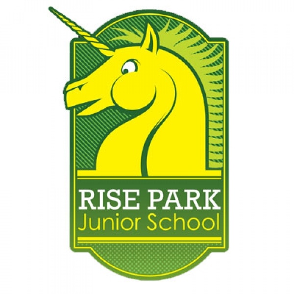 Rise Park Junior School case study special measures